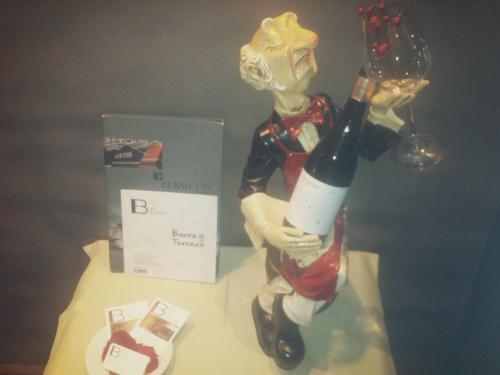 Hotel El Balcon *